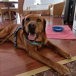 Ai Pini 3* Grado