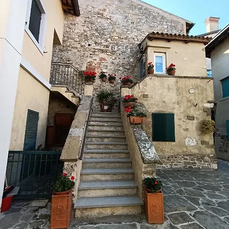 Ai Pini