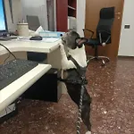 Hotel Ai Pini Grado