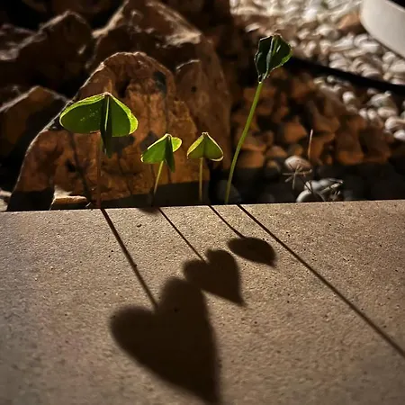 호텔 Ai Pini