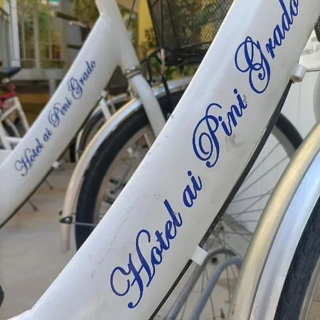 Ai Pini Hotel Grado