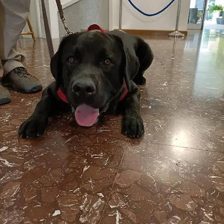 Hotel Ai Pini