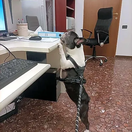 Ai Pini Отель Градо