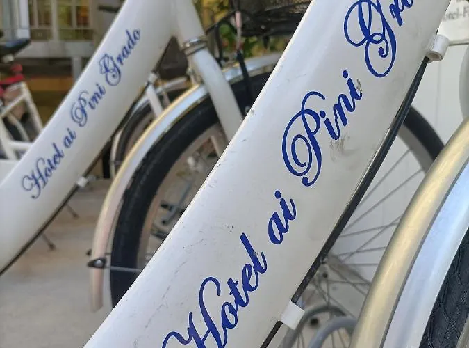 Ai Pini Отель Градо