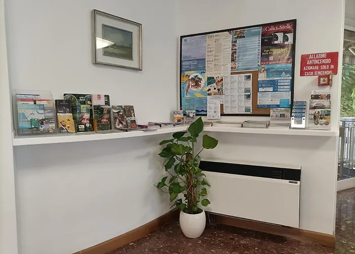 Отель Ai Pini 3*